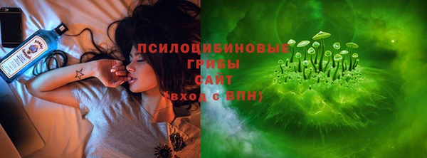 стафф Дмитров