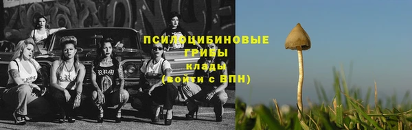 винт Дмитриев