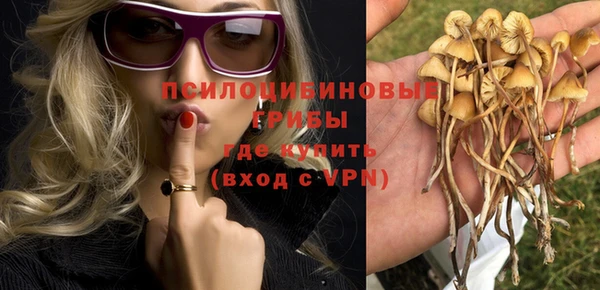 хмурый Елабуга