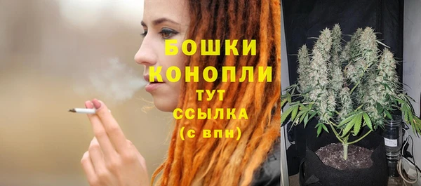 винт Дмитриев