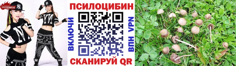mega ТОР  Еманжелинск  Галлюциногенные грибы Cubensis 